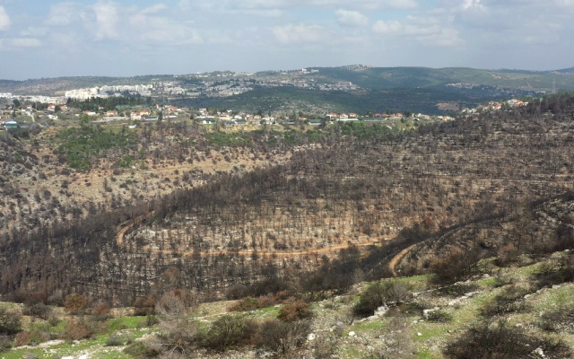 Jewish National Fund | Builders Circle - Building Israel Together | Jewish National Fund Builders Circle - Building Israel's community & social infrastructure. Join the Builders Circle & unlock Israel's potential.