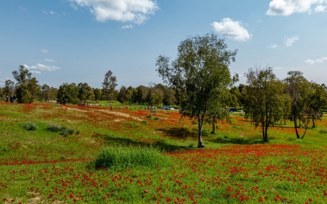 Shokeda-Boho Accessible Cycle Trail | Sports, Arts and Music