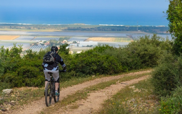 Bicycle Track Along Carmel Coast | Sports, Arts and Music