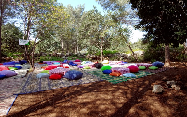 Goren Park - Overnight Campsite Ha'elah | Sports, Arts and Music